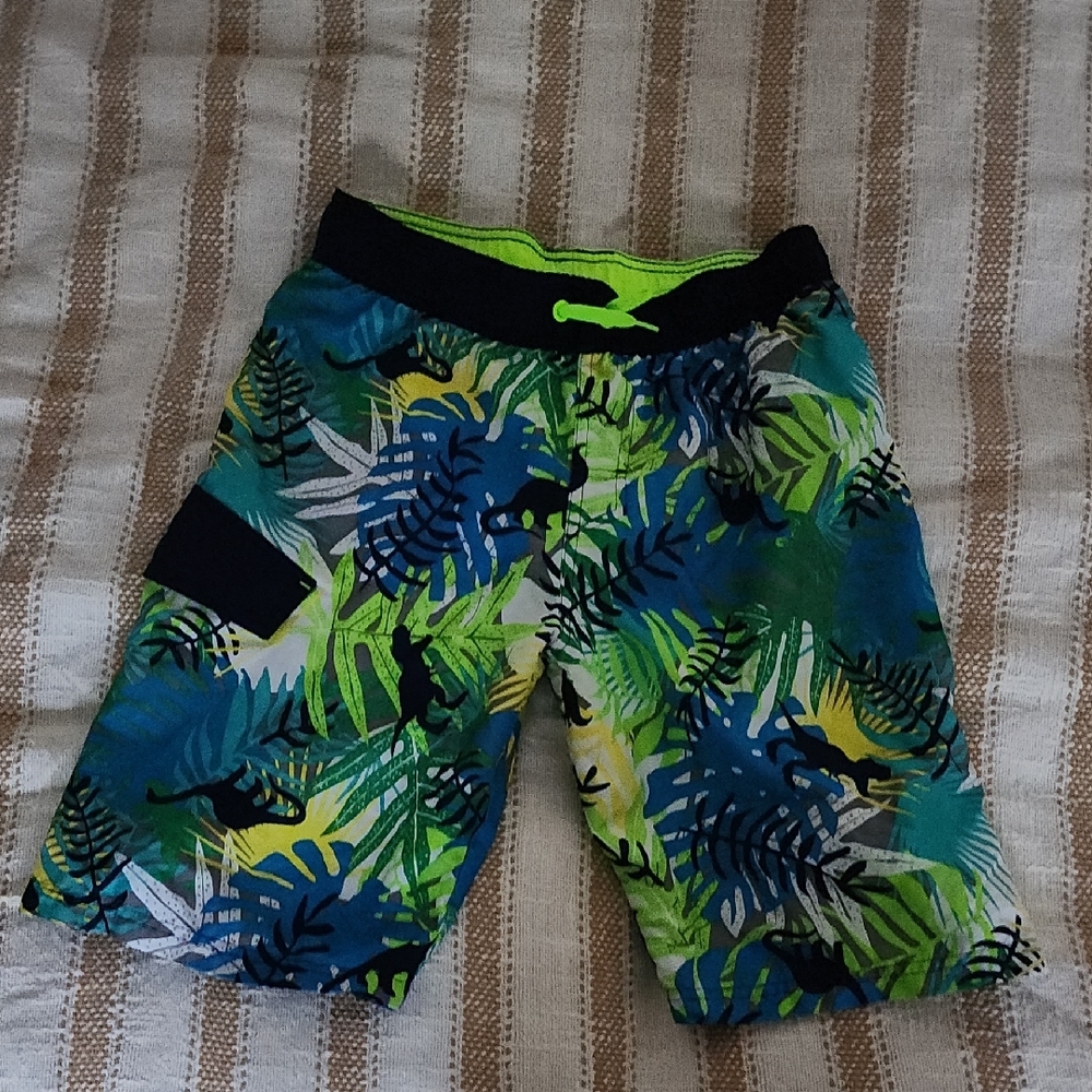 Green and Blue Swimming Shorts